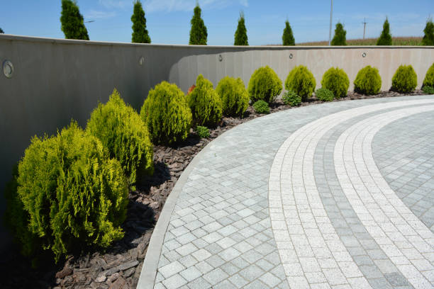 Best Custom Driveway Pavers  in Lihue, HI